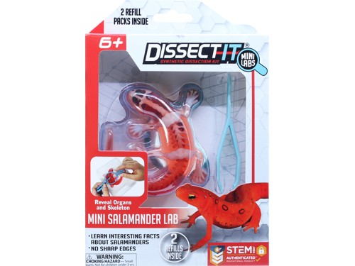 Sensory Compounds - Salamander In Giftbox (12-38085), bild 2