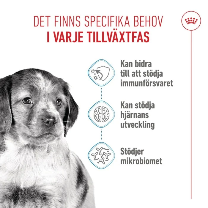 Royal Canin Medium Puppy Torrfoder för hundvalp 15 kg, bild 4