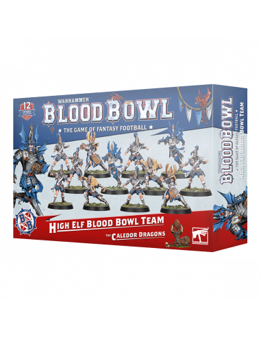 BLOOD BOWL: HIGH ELF BLOOD BOWL TEAM