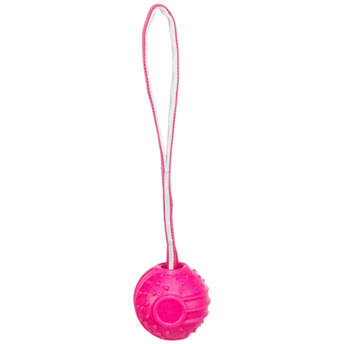 TRIXIE Soft & Strong boll med rem, TPR, 27 cm, rosa