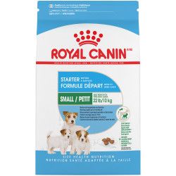 Royal Canin Starter Mother And Babydog, Vuxen, Alla raser, Kyckling, 1 kg