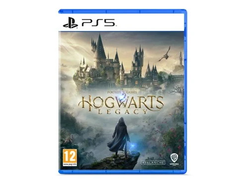 Hogwarts Legacy (PS5), bild 2