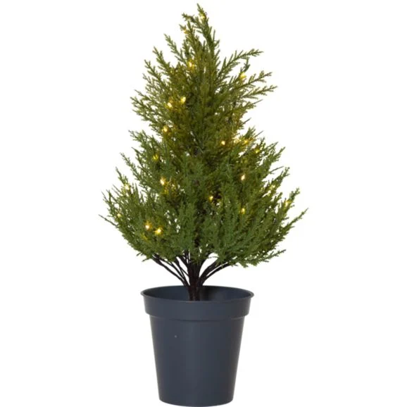 Star Trading Thuja 600-25