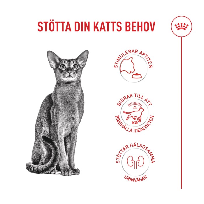Royal Canin Fussy torrfoder för katt 2 kg, bild 4