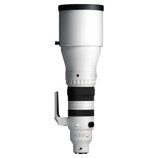 300-600mm f/4 DG OS Sports Sony FE