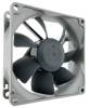 Fläkt 80 mm Noctua NF-R8 redux-1800PWM, 1800 rpm, 17.1 dBA