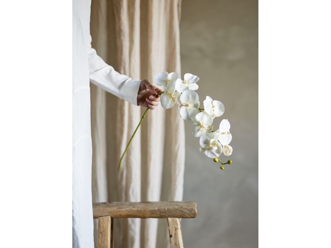 BLOOMINGVILLE Orkidéstjälk, vit, Konstgjorda blommor