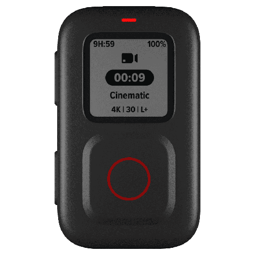 GoPro The Remote
