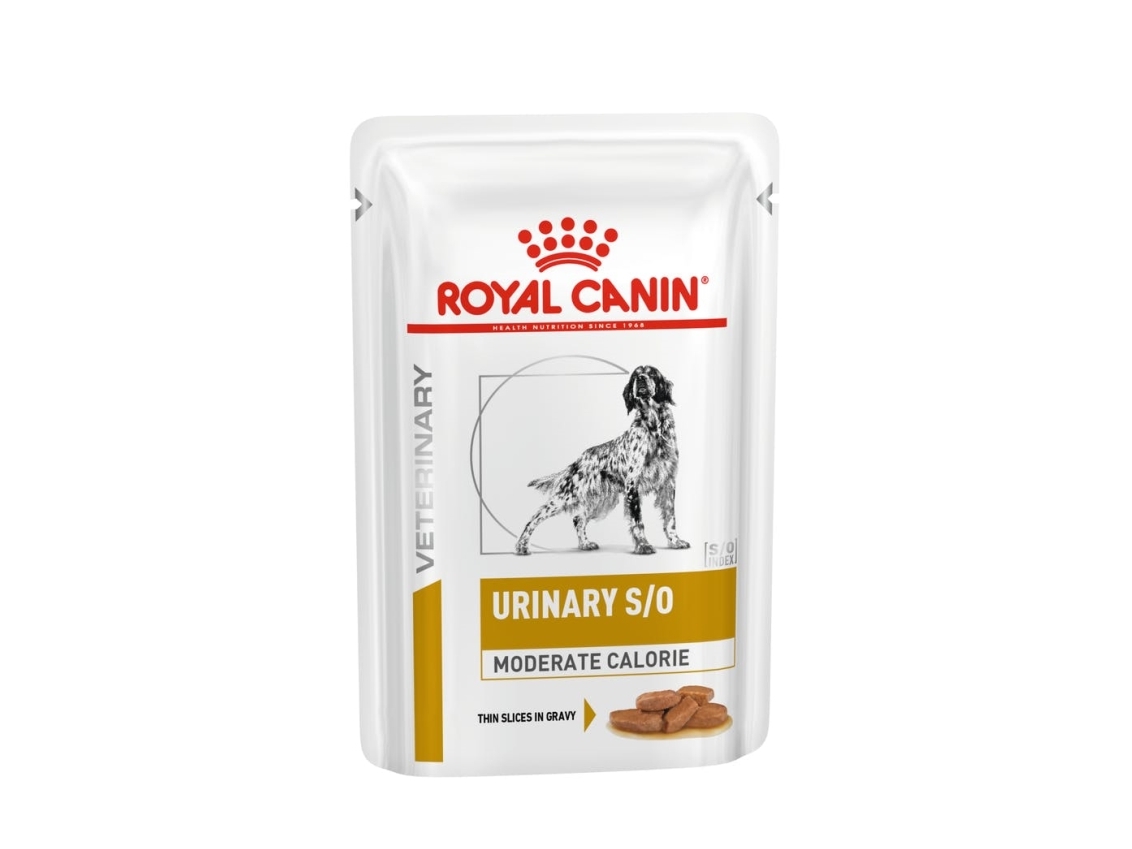 Royal Canin ROYAL CANIN Dog Urinary Moderate Calorie 12x100g - dla psa