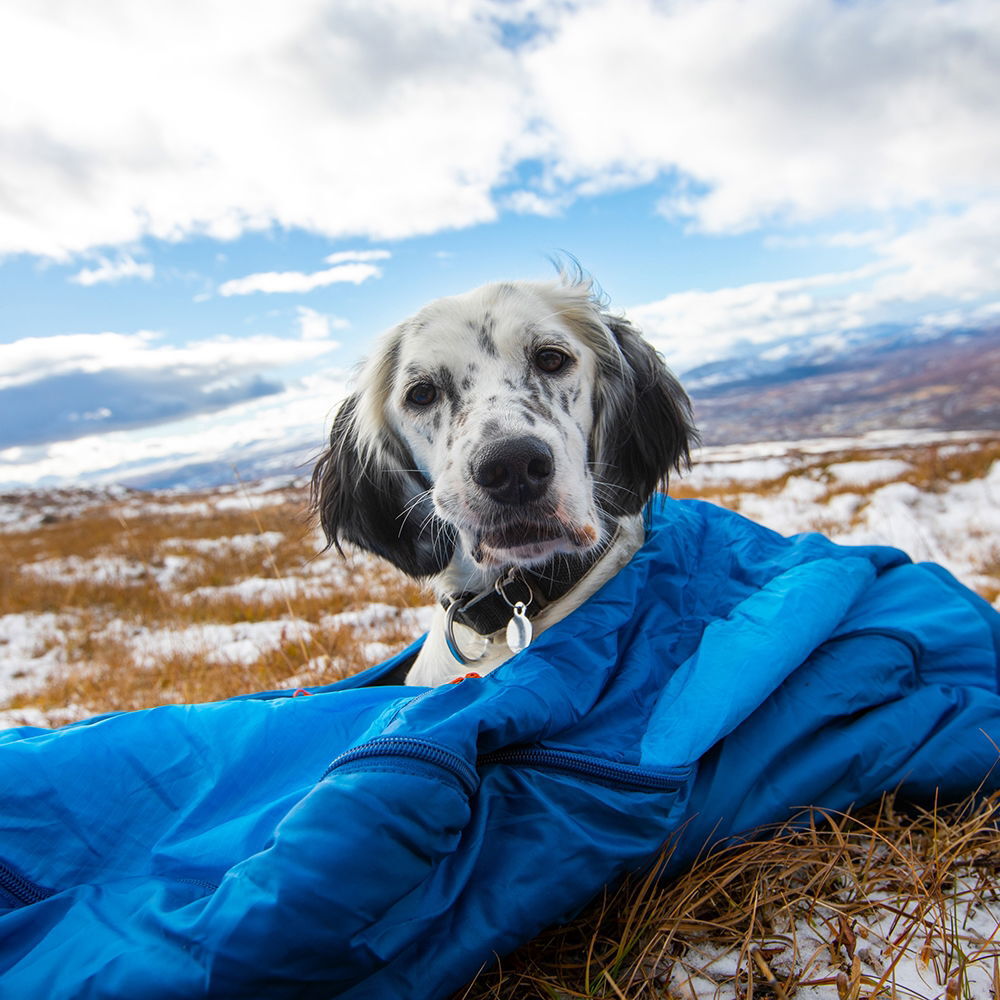 Non-stop Dogwear Ly Sovsäck för hund Small