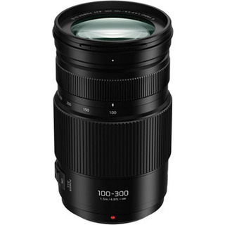 Lumix G Vario 100-300mm f/4,0-5,6 II O.I.S
