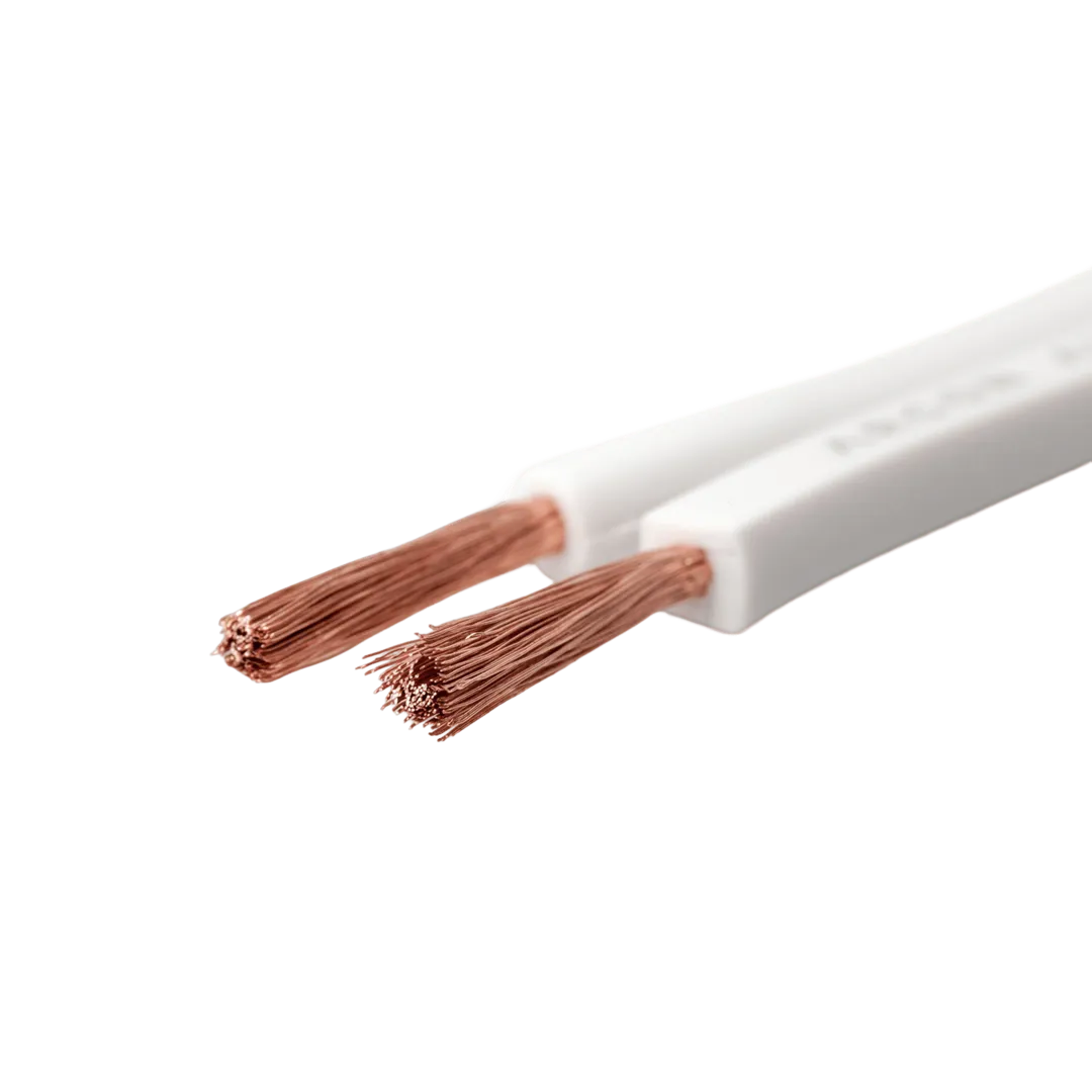 Basic Speaker Cable 2