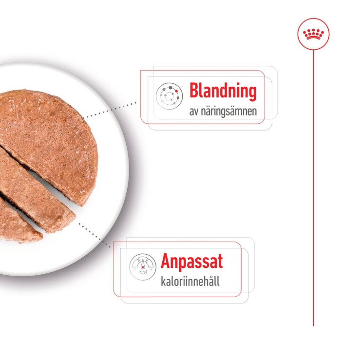 Royal Canin Mini Ageing Loaf våtfoder för hund 195 g, bild 3