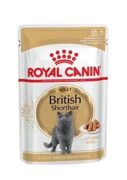 Royal Canin British Shorthair 12x85g