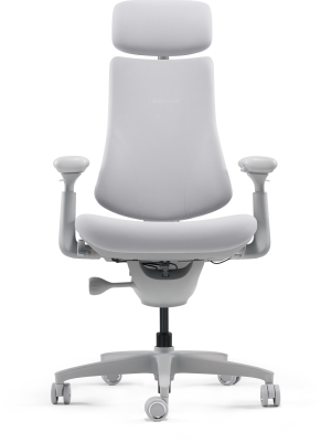 LiberNovo Omni Ergonomic Chair - Space Gray, bild 2