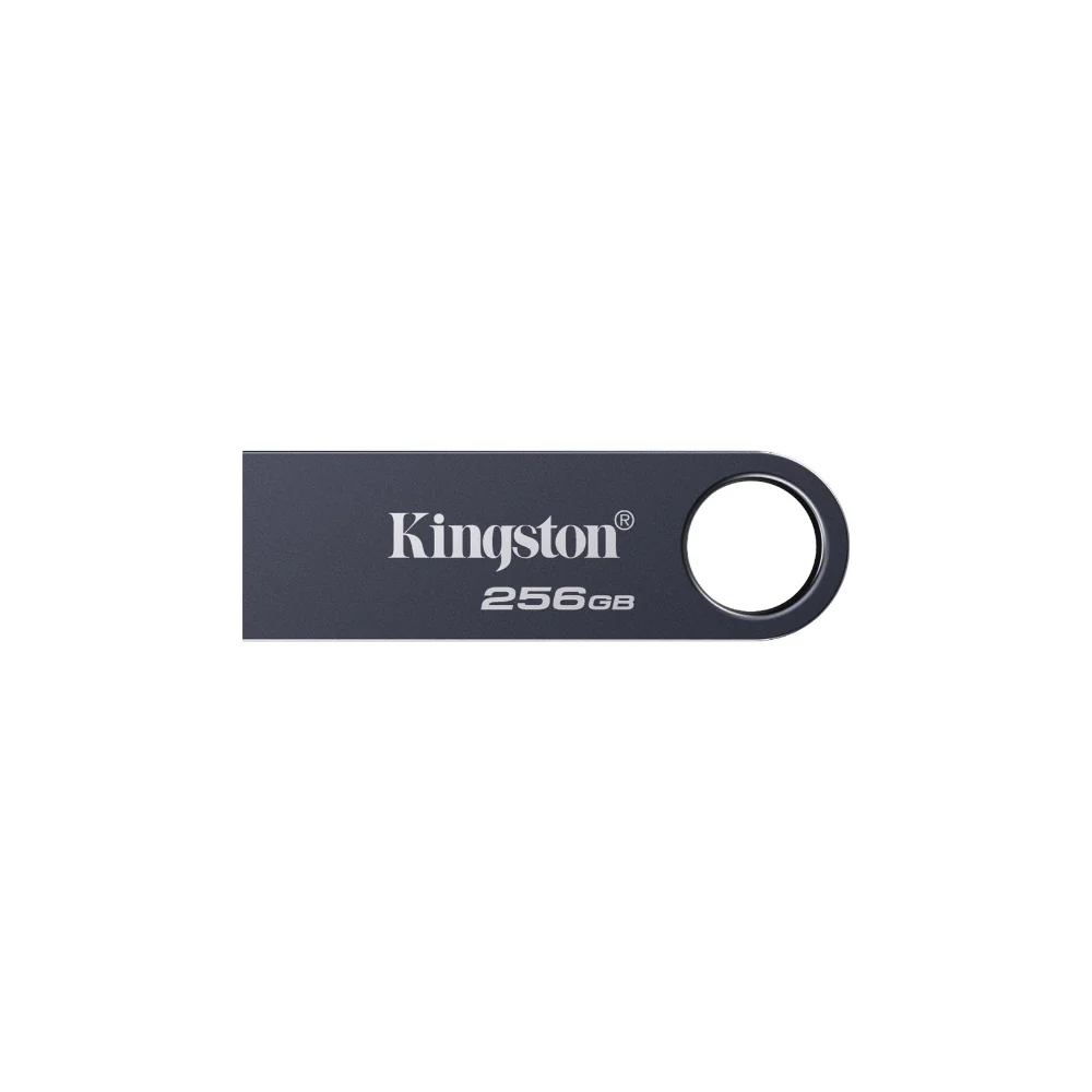 Kingston DataTraveler SE 9 G3 Mörk Nickel 256GB