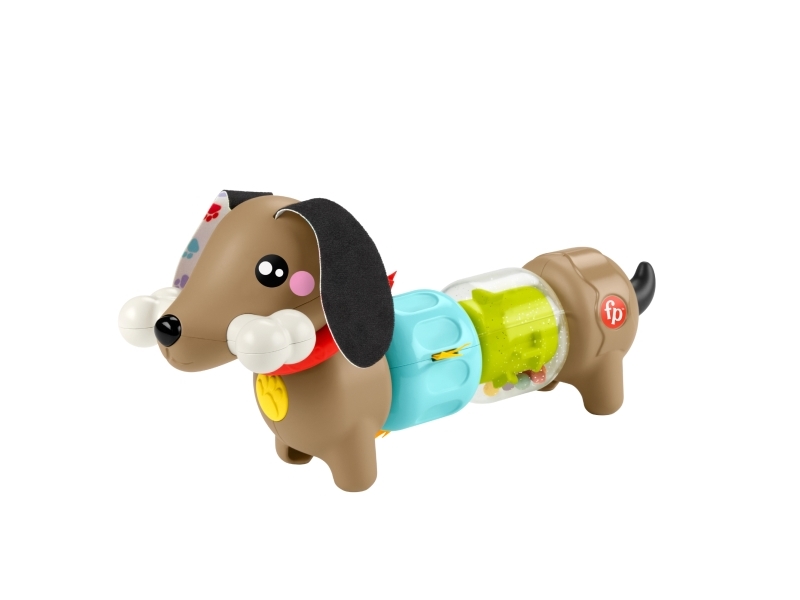 Fisher Price Click & Spin Activity Pup