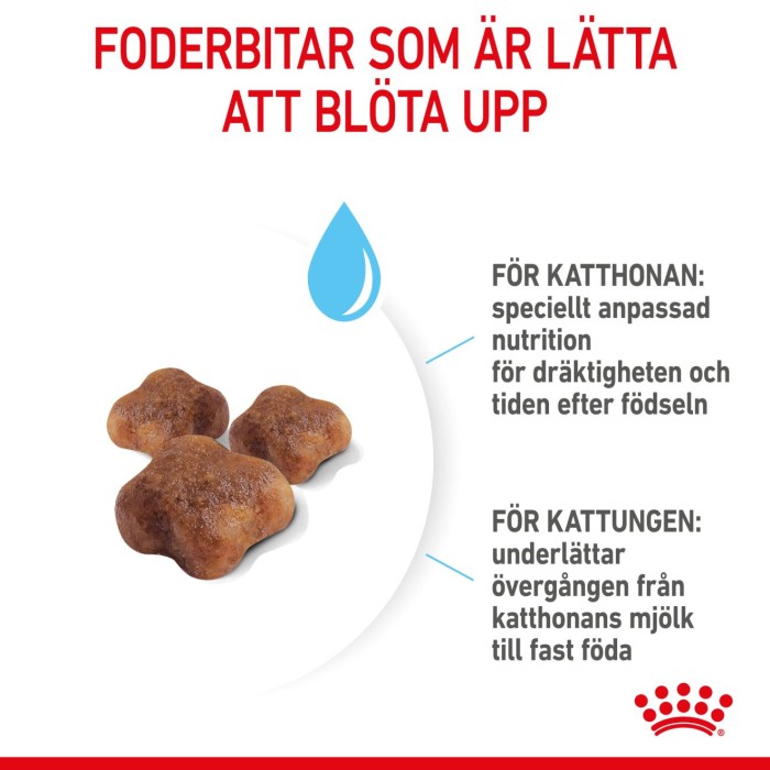 Royal Canin Mother & Babycat, 2 kg, Antioxidanter ingår, bild 3