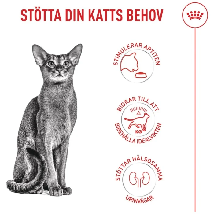 Royal Canin Fussy Torrfoder för katt 4 kg, bild 3