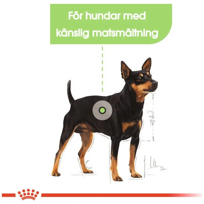 Royal Canin Digestive Care Mini Adult Torrfoder för hund 3 kg, bild 5