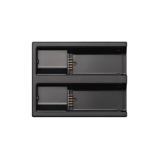 Battery Charger BC-81 for Sigma BF