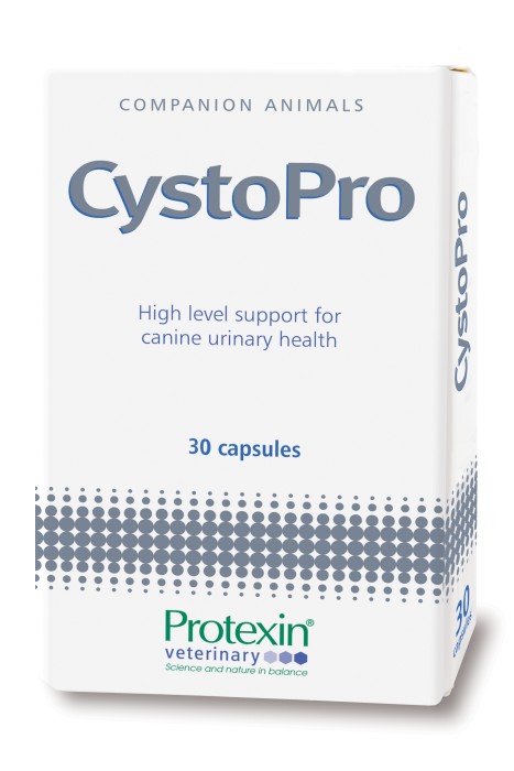 Cystopro for Dogs 30 st