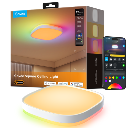 Govee 30cm RGBWW + RGBIC Smart fyrkantig taklampa