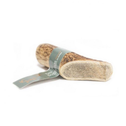 Taki - Deer antler S 10 cm - (01-605)