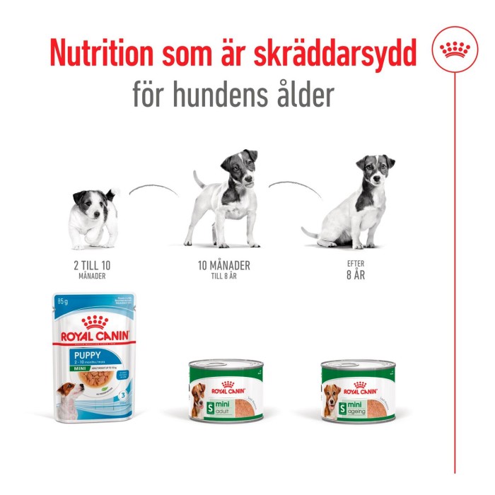 Royal Canin Mini Ageing Loaf våtfoder för hund 195 g, bild 4