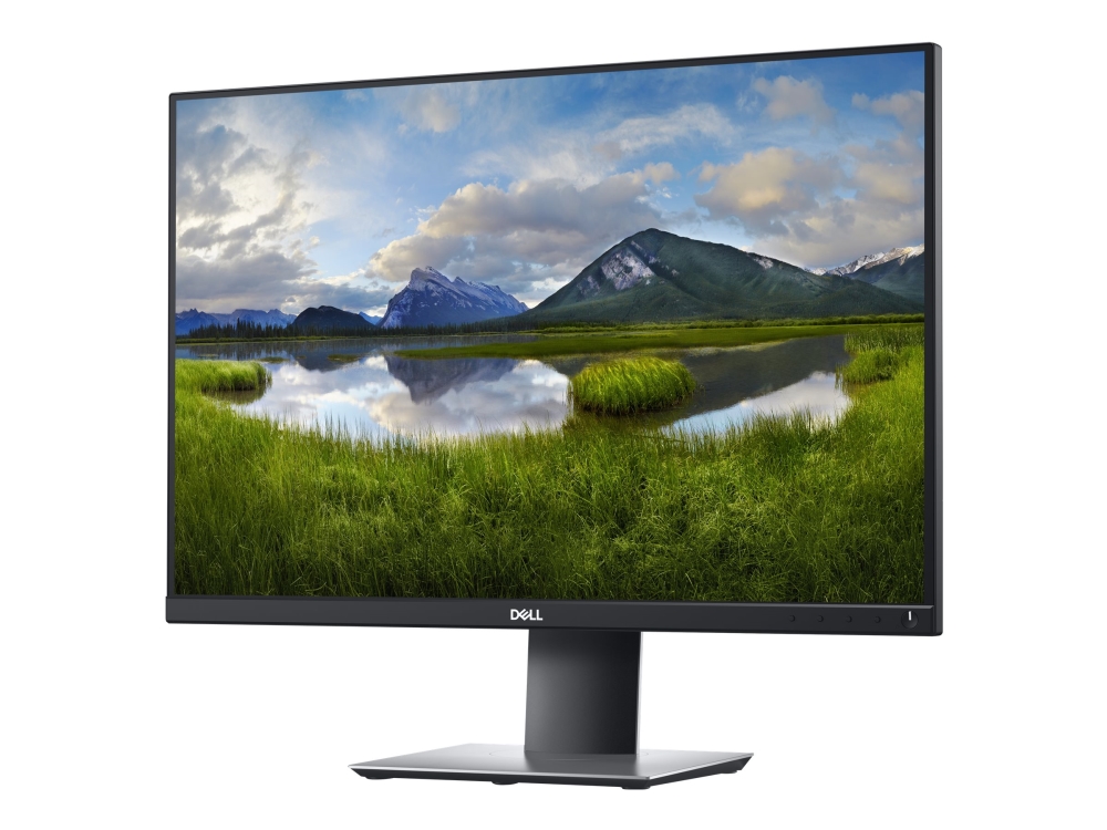 Dell P2421 - LED-skärm - 24.1 - 1920 x 1200 WUXGA @ 60 Hz - IPS - 300 cd/m² - 1000:1 - 5 ms - HDMI, DVI, DisplayPort, VGA