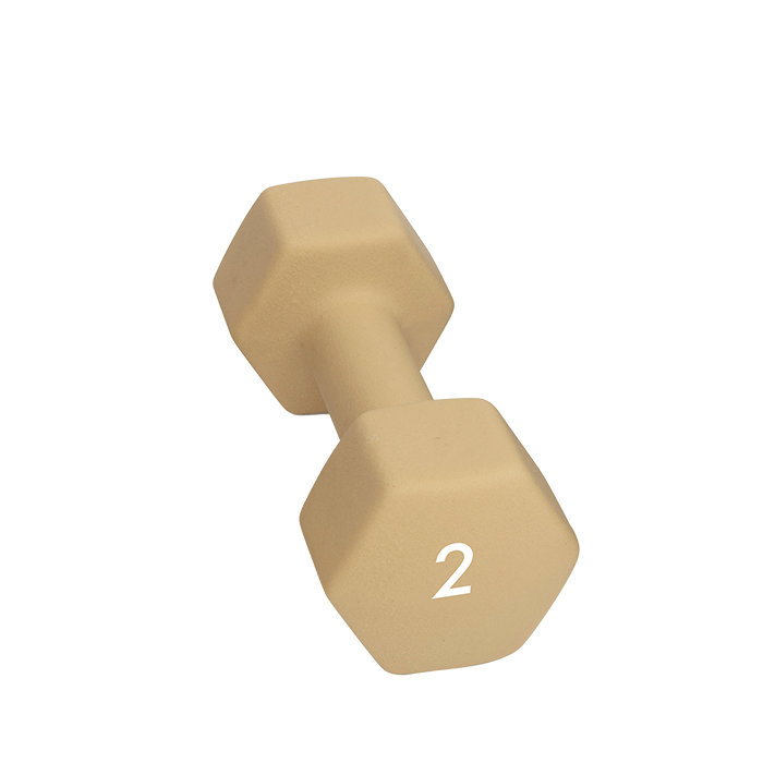 Abilica Dumbbells, 2 kg