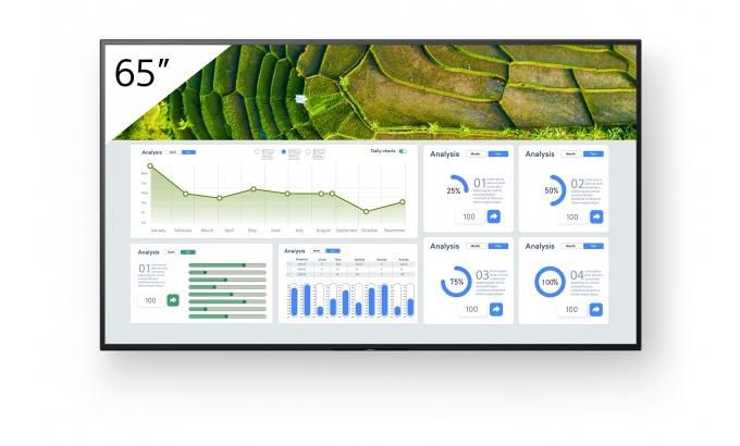 Sony FW-65BZ30L 65" 4K UHD skyltningsdisplay, bild 3