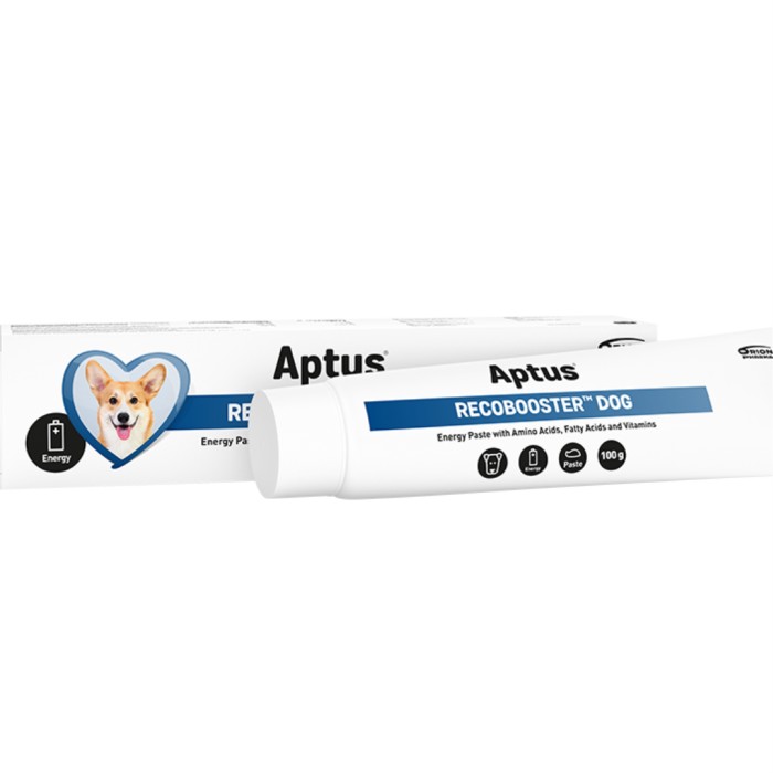 Aptus Recobooster Dog