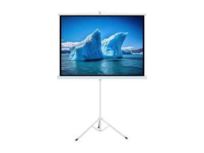 ART T70 - Projektionsskärm med ben - tripod/ställbara montering - 96 (244 cm) - 1:1