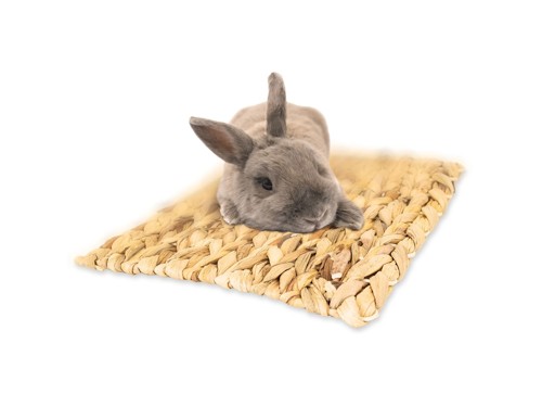 Jr Farm - Water Hyacinth Mat - 33 x 24 cm, bild 2