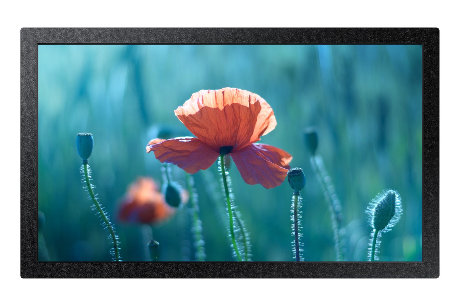 Samsung QB13C LH13QBCEBGBXEN 13" Full HD skyltningsdisplay, bild 4