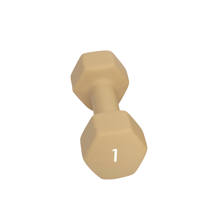Abilica DumbBell 1 kg