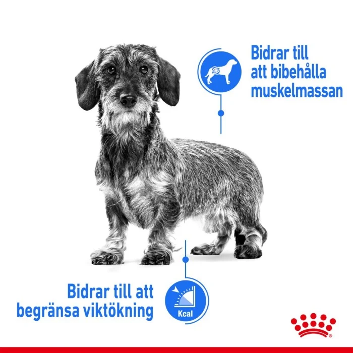 Royal Canin Light Weight Care Mini Adult Torrfoder för hund 3 kg, bild 5