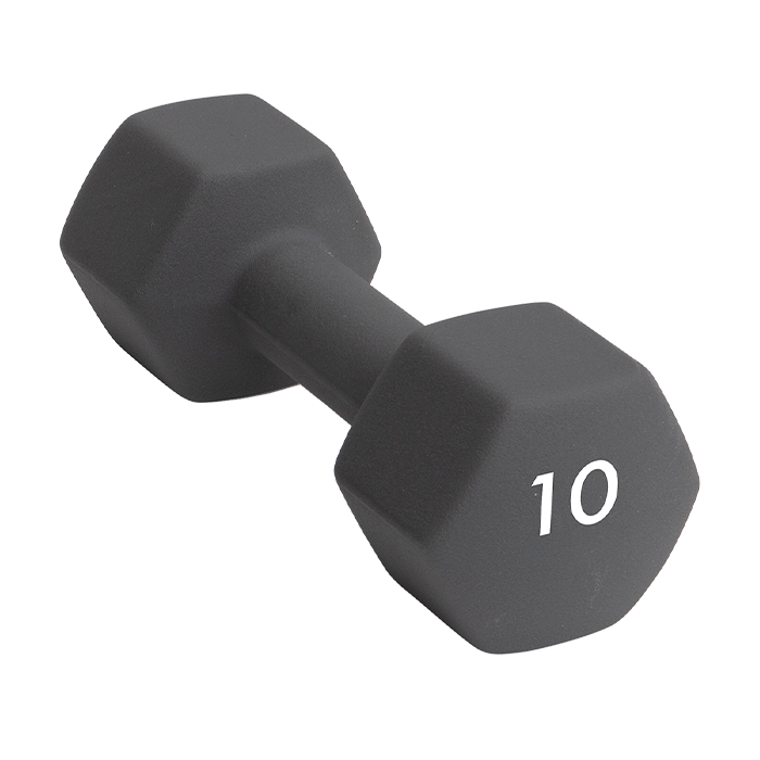 Abilica DumbBell 10 kg