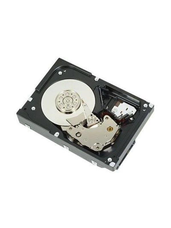 Dell - Customer Kit - hard drive - 12 TB - 512e ISE - SAS 12Gb/s - 12TB - Hårddisk - 161-BBFN - Serial Attached SCSI 3 - 3,5"