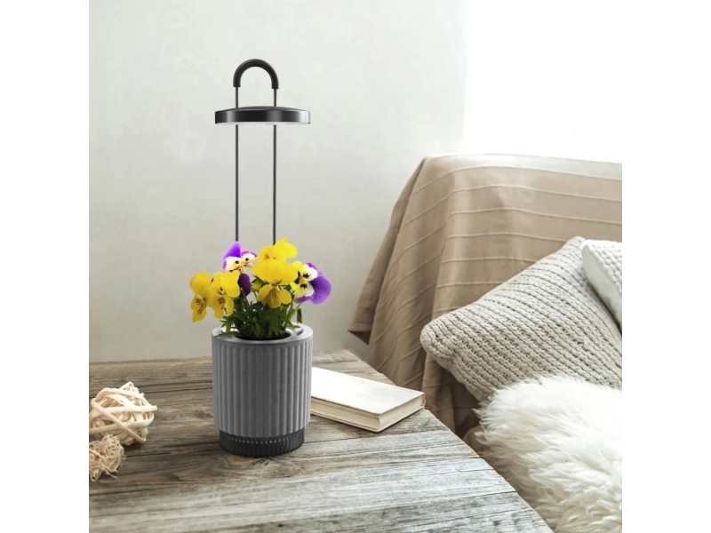 Click And Grow Click & Grow HydroVase krukväxtvårdssats med LED-ljus, självvattnande och automatisk timer - grå, bild 4