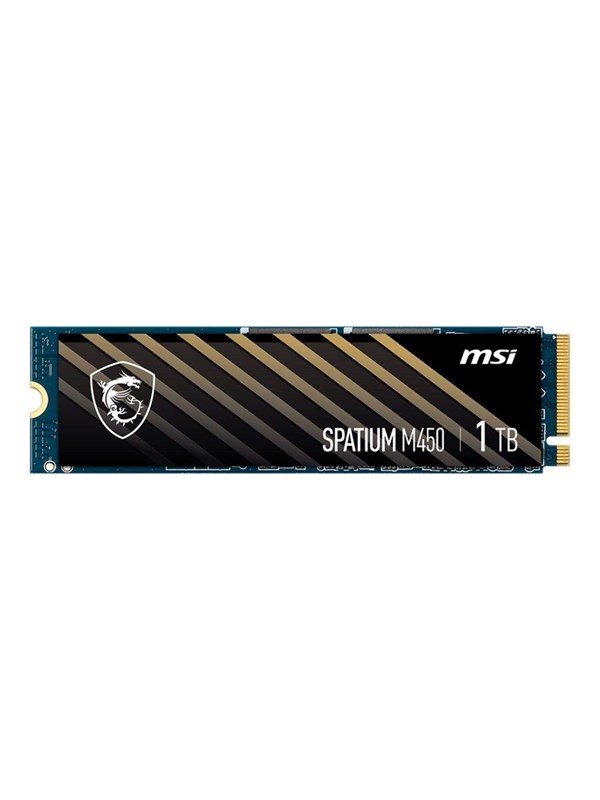 MSI Spatium M450