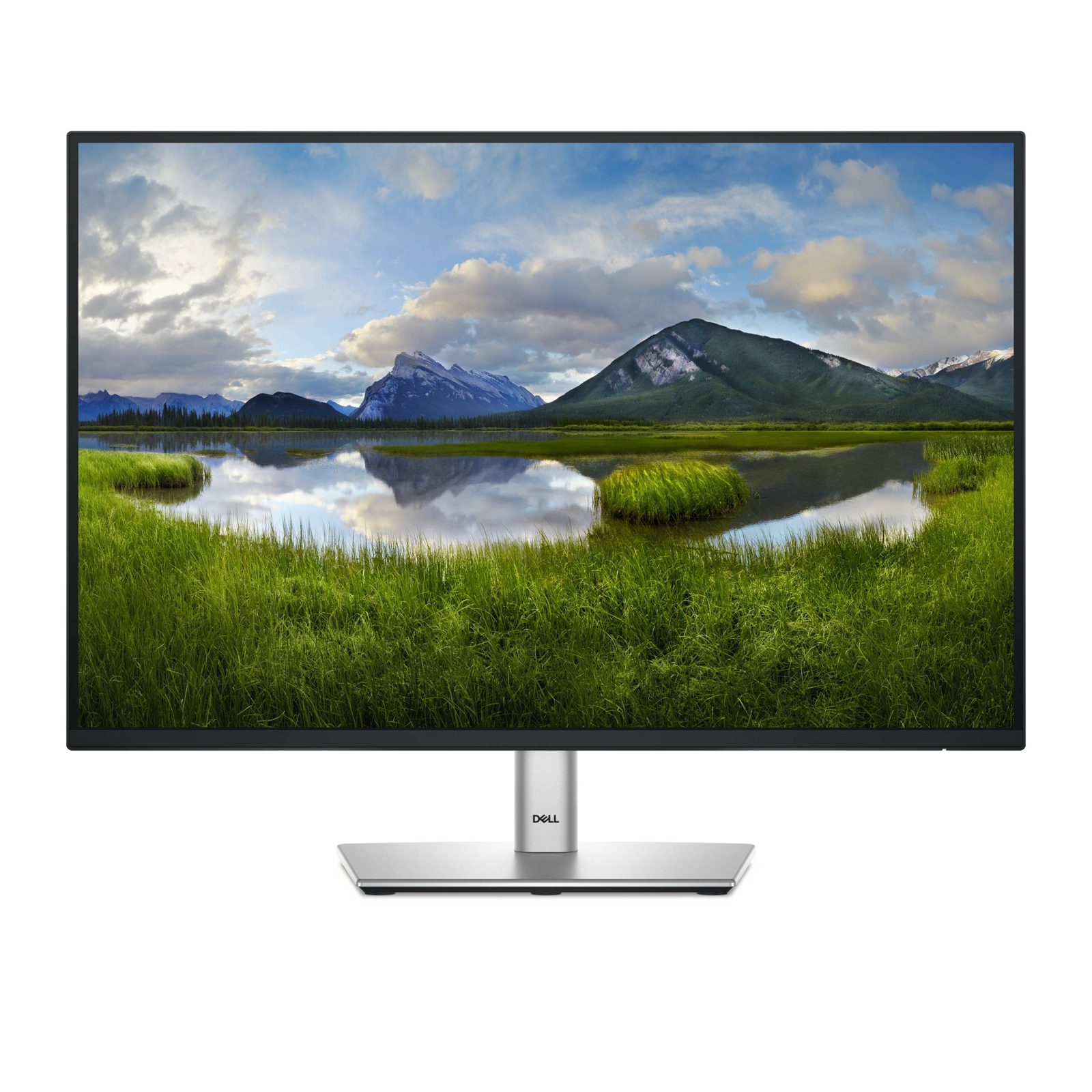 Dell 24" Pro Plus P2425 IPS 100 Hz, bild 4