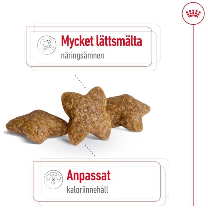 Royal Canin Mini Adult Torrfoder för hund 2 kg, bild 3
