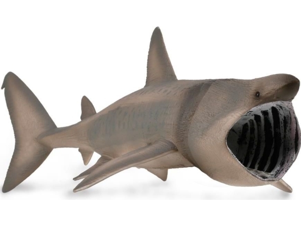 Collecta DLUGOSZPAR