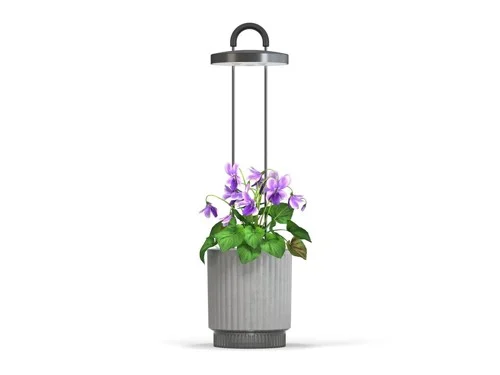 Click And Grow Click & Grow HydroVase krukväxtvårdssats med LED-ljus, självvattnande och automatisk timer - grå, bild 2