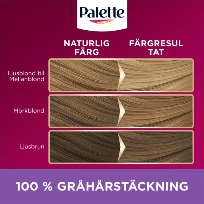 Palette Intensive Creme Coloration 8-16 Light Ash Blonde, bild 4