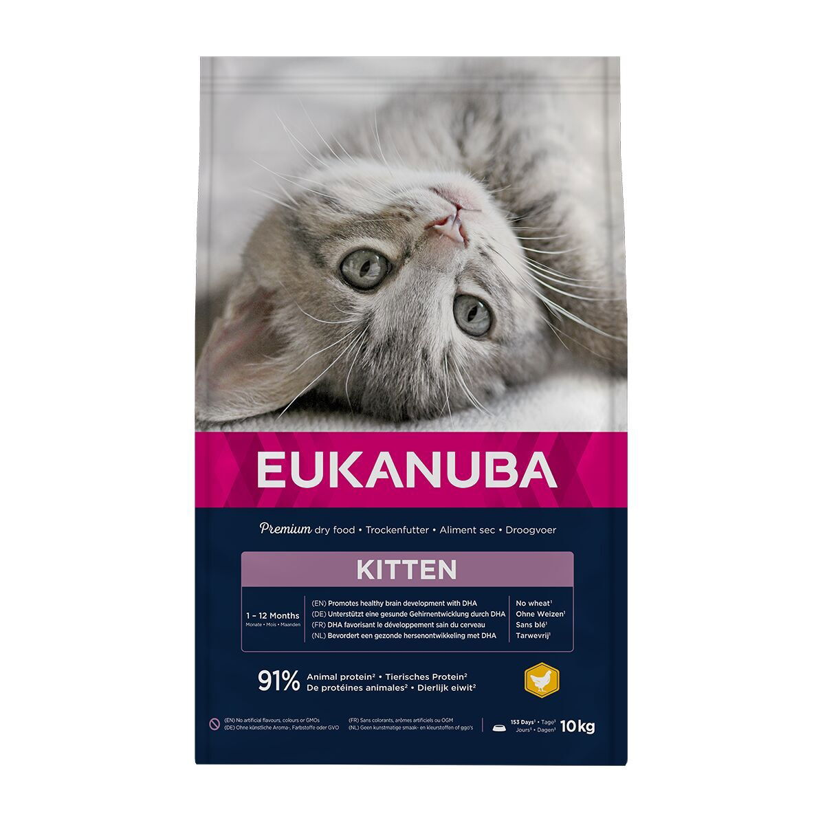 Eukanuba Kitten Healthy Start Chicken Torrfoder till Kattunge 10 kg