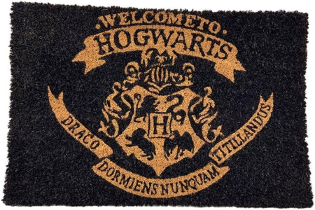 Harry Potter Welcome to Hogwarts Dörrmatta