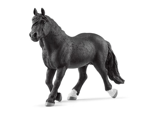 Schleich - Noriker Stallion (13958), bild 2